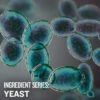 Ingredient Series: Yeast - Video Course -Northern Brewer Shop 0223 nbu ingredient series yeast PDP