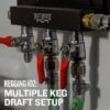 Kegging 102: Multiple Keg Draft Setup - Video Course -Northern Brewer Shop 0721 nbu kegging 102 PDP 1