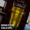 Brewing To Style: Cold IPA - Video Course -Northern Brewer Shop 0822 nbu brewing to style cold ipa PDP