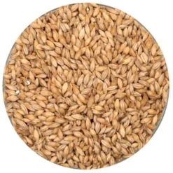 Belgian Pilsner Malt - Dingemans - 55 Lb. Sack
