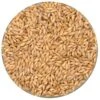 German Carafoam Malt - Weyermann® - 55 Lb. Sack -Northern Brewer Shop 16822 3 f265d269 4421 4363 986d 071add48f6cc