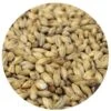 German Floor Malted Bohemian Pilsner - Weyermann® - 55 Lb. Sack -Northern Brewer Shop 18773 x700 96289072 5268 474f 983e 1d16fdd8d787
