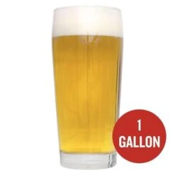 German Blonde Ale 1 Gallon Beer Recipe Kit