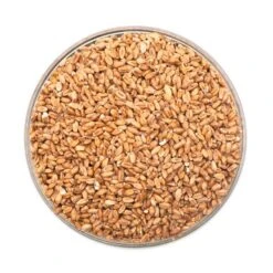 Red Wheat Malt - Rahr - 55 Lb. Sack