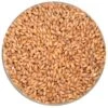 Stout Malt - Malting Company Of Ireland - 55 Lb. Sack -Northern Brewer Shop 22505 56389c21 e8da 4a87 8567 4f04cbf8e71b