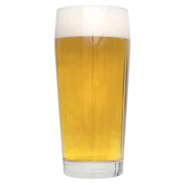 This Beer's For You American Lager All Grain Beer Recipe Kit 2 This Beer's For You American Lager All Grain Beer Recipe Kit - Image 2