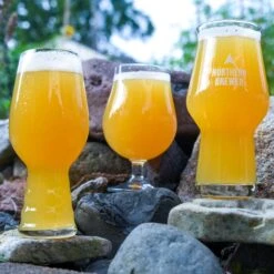 Haze For Days NEIPA Extract Beer Variety Pack