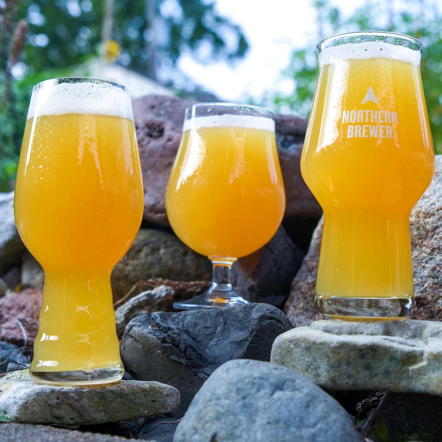 Haze For Days NEIPA Extract Beer Variety Pack 1 Haze For Days NEIPA Extract Beer Variety Pack