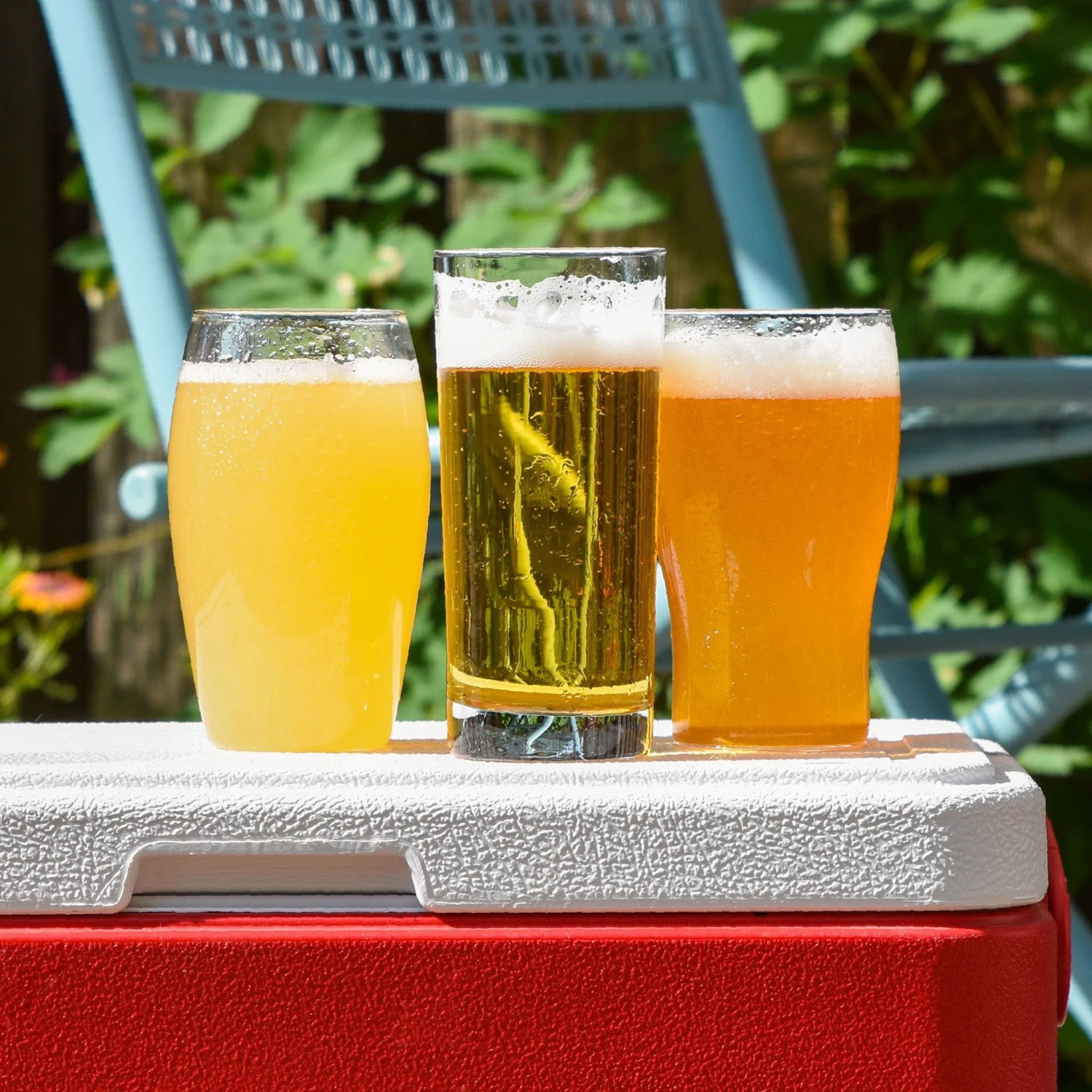 Socks & Sandals Summer Extract Beer Variety Pack 2 Socks & Sandals Summer Extract Beer Variety Pack - Image 2