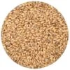 6-Row Malt - Rahr - 55 Lb. Sack -Northern Brewer Shop 6 row c80bbe74 016f 4e6f b0e1 daf4e5479155