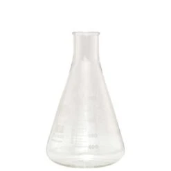 1000 Ml Erlenmeyer Flask