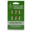 White Labs Servomyces Yeast Nutrient 3 White Labs Servomyces Yeast Nutrient -Northern Brewer Shop 9049 White Labs Servomyces Yeast Nutrient front