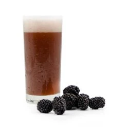 Fruit Stand Wheat All-Grain Beer Recipe Kit -Northern Brewer Shop B1143Y Funktional Fruit Sour Blackberry w 8a706fc3 bbe6 4194 8f4f ea2e51168a0c