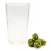 Cascade Hopped Hard Seltzer Recipe Kit -Northern Brewer Shop B11780 Hopped Hard Seltzer 1