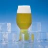 Chill Factor Cold IPA Extract Recipe Kit