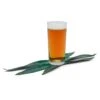 Mexican Agave Lager Extract Recipe Kit -Northern Brewer Shop B1205X Mexican Agave Lager 3
