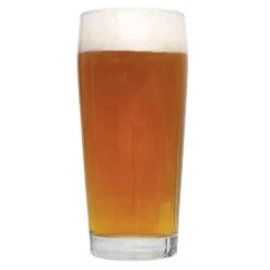 Northern Brewer Shop -Northern Brewer Shop Citrafication Stratagy IPL N00