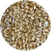 Wickiup (Hard Red Spring Wheat) Malt - Mecca Grade - 50 Lb. Sack -Northern Brewer Shop G071 Wickiup Malt 2048x2048 67c45f50 b0a4 4187 988f 8fd31a0a7f0b