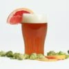 Fresh Squished IPA Extract Beer Recipe Kit -Northern Brewer Shop b11020 fresh squished ipa