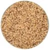 Carapils Malt - Briess - 50 Lb. Sack -Northern Brewer Shop carapils 7bcaaf2f fb56 4f6d b19b 7aaf41391b18