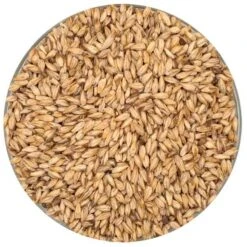 Carapils Malt - Briess - 50 Lb. Sack
