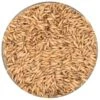 English Oat Malt - Thomas Fawcett Malting - 55 Lb. Sack