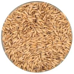 English Oat Malt - Thomas Fawcett Malting - 55 Lb. Sack