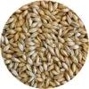Gateway (Under-Modified Wind-Malt) - Mecca Grade - 50 Lb. Sack -Northern Brewer Shop g060 mecca grade pelton pilsner style malt 1 604baf4b b820 47f9 844f fbd998b99d76