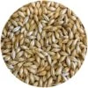 Pelton (Pilsner-style) Malt - Mecca Grade -Northern Brewer Shop g061 mecca grade lamonta american pale malt 29c0370e 5032 4dcb a641 52e9a898d426