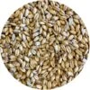 Shaniko (White Winter Wheat) Malt - Mecca Grade -Northern Brewer Shop g064 mecca grade shaniko white winter wheat malt