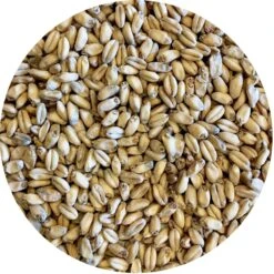Shaniko (White Winter Wheat) Malt - Mecca Grade