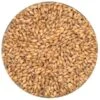 Pilsner Malt - MaltWerks - 55 Lb. Sack -Northern Brewer Shop g301 1 1 x700 1 5cbc194c 25be 49bc 8211 8f209d0cba8c