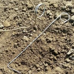 IPA Hop Rhizomes Grow Kit - Pre-order For 2024 Season -Northern Brewer Shop hop clips x700 fd062d8c aa7b 4bee 99f3 7a7cad401809