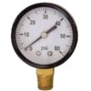 Regulator Gauge - 0-60 Psi RHT -Northern Brewer Shop image 2323