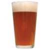 Mosaic IPA Recipe Extract Beer Recipe Kit -Northern Brewer Shop j07 1
