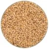 Premium Pilsner Malt - Rahr - 55 Lb. Sack -Northern Brewer Shop prem pils 459f26c4 65fa 4e72 91e9 986a471cd4e2