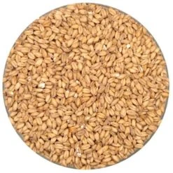 Olandsvete Wheat Malt - Root Shoot Malting - 50 Lb. Sack