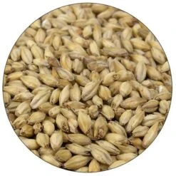 Ashburne Mild Malt - Briess - 50 Lb. Sack